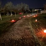 IMG-20251118-WA0015-min